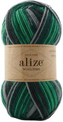 Wooltime 274 100 г 200 м (зеленый; серый)