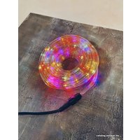 Дюралайт Гирлянда бай Дюралайт (10 метров, разноцветный) в Витебске