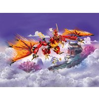 Конструктор LEGO Ninjago 71753 Атака огненного дракона
