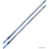 Беговые лыжи TISA Sport Step Blue N90921V (187 см)