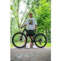 Велосипед Twitter Leopard Pro S 2023 (серый)