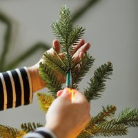 Новогодняя гирлянда Kaemingk Лучи Росы 496143 (210см)