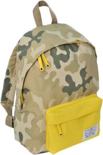 Paso CM-222E