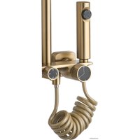 Душевая система  Rea Helix Matt Gold REA-P6621
