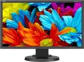 NEC MultiSync E224Wi Black/Black