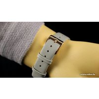 Наручные часы Skagen SKW2139