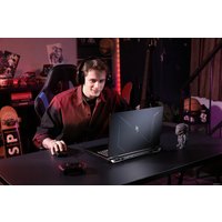 Игровой ноутбук Acer Nitro 17 AN17-41-R83D NH.QL2CD.002