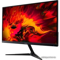 Монитор Acer RG241YPbiipx
