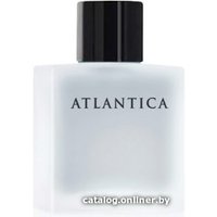 Туалетная вода Dilis Parfum Atlantica Silver Moon EdT 100 мл