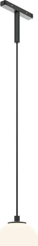 

Трековый светильник Maytoni Technical TR178-1-5WTW-B