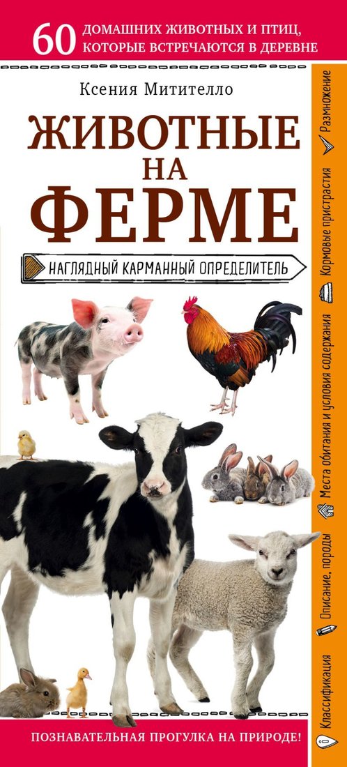 

Книга издательства Эксмо. Животные на ферме. Наглядный карманный определитель (для ПР) (Митителло Ксения Борисовна)