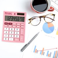 Бухгалтерский калькулятор BRAUBERG Ultra Pastel-08-PK 250514 (розовый)