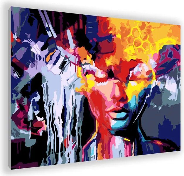 

Картина по номерам PaintLine Девушка-абстракция PL-00155