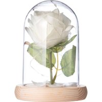 Настольная лампа Risalux Колба Роза 10539552 (белый)