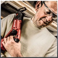 Сабельная пила Einhell TE-AP 18 Li 4326300 (без АКБ)