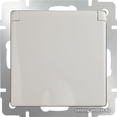 Розетка Werkel WL03-SKGSC-01-IP44 (слоновая кость)