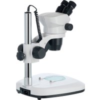 Микроскоп Levenhuk ZOOM 1B бинокулярный 76056