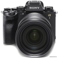 Беззеркальный фотоаппарат Sony Alpha a1 Body (черный)