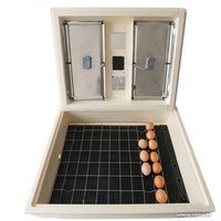 Инкубатор для животных Золушка 220В (70 яиц) в Витебске