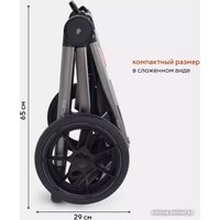 Универсальная коляска Rant Flex Pro RA074 2023 (2 в 1, pink)