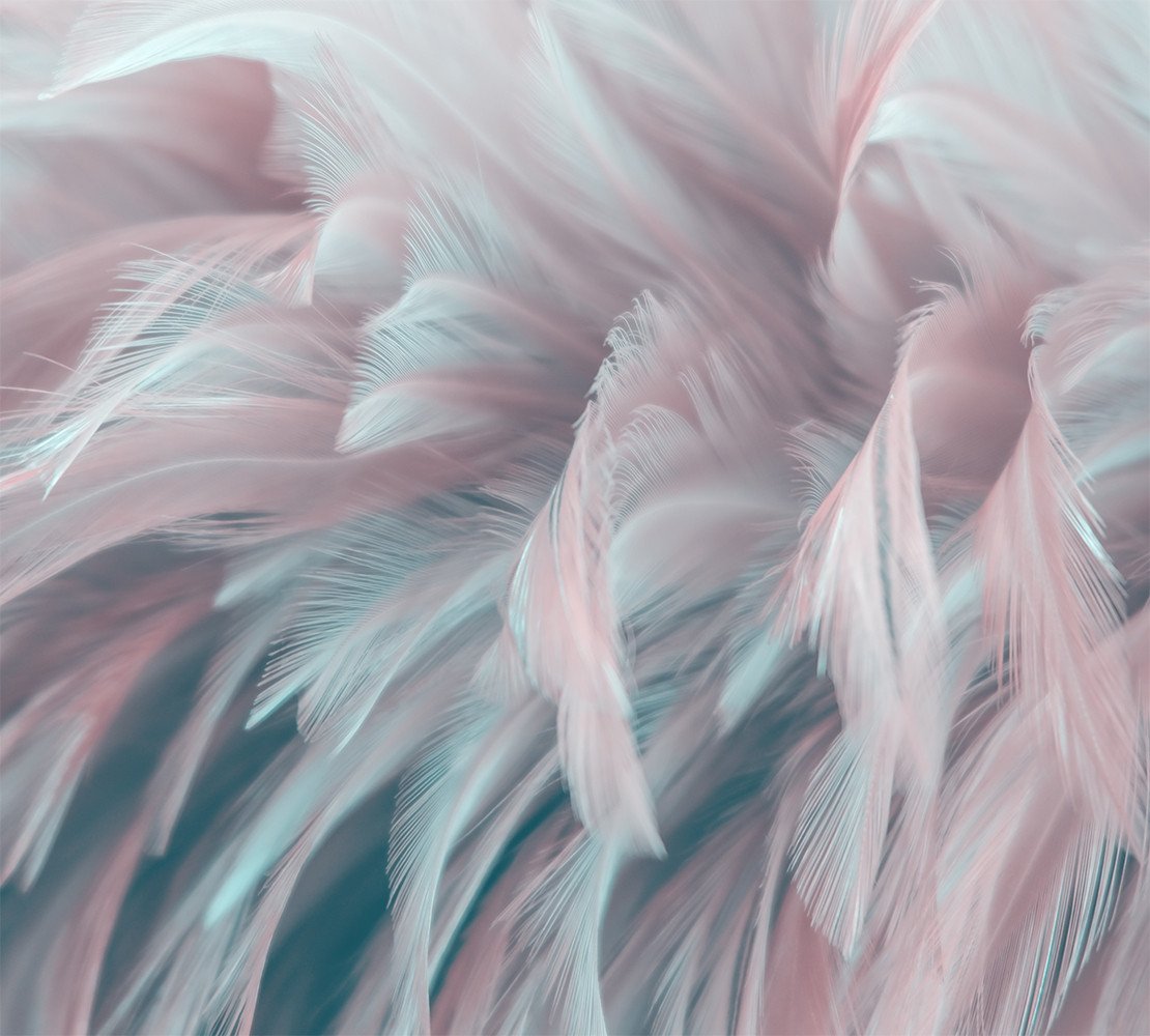 

Фотообои Vimala 3D Перья 270x300