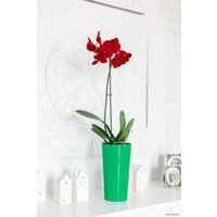 Кашпо GardenPlast Камелия 1.5 л (белый)