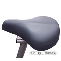 Велотренажер Oxygen Fitness Flamingo