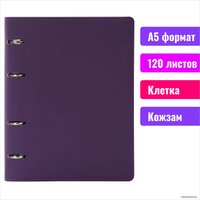 Общая тетрадь BRAUBERG Joy 129989 (120 л, фиолетовый/светло-фиолетовый)
