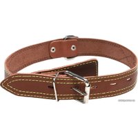 Ошейник Gamma Кожаный c кольцом 11232025