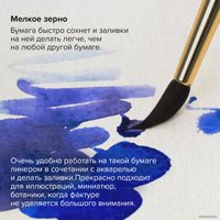 Альбом для рисования BRAUBERG Art Premiere 113224 (20 л)