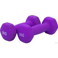 Набор гантелей XinRui MS1004 2x2 кг