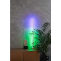 Торшер Electric Light 1000 ver.1 (белый)