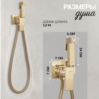 Гигиенический душ Hansberge H3077 (золото матовый)