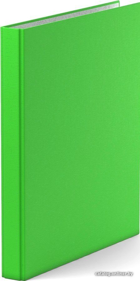 Папка-регистратор Erich Krause Neon 35 мм на 2 кольцаx 39057 (зеленый)