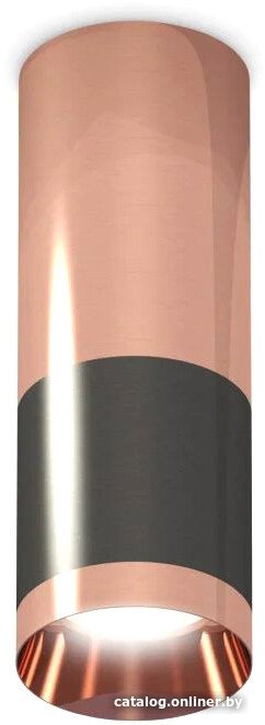 Точечный светильник Ambrella light Techno spot XS6303060 DCH/PPG