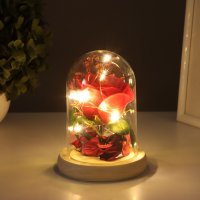 Настольная лампа Risalux Колба Роза 10539553 (красный) в Могилеве