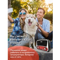 Радиоприемник Miru SR-1019