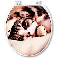 Сиденье для унитаза Еврокомфорт Океан В-35 103-311-01В35 (мягкое)