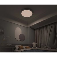 Светильник-тарелка Yeelight Arwen Ceiling Light 450S YLXD013