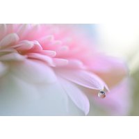 Беззеркальный фотоаппарат Nikon Z6 III Kit 24-120mm f/4 S