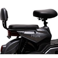 Электровелосипед Ecoliner Hulk Bluetooth 240Вт 48В 23А/ч (серый)