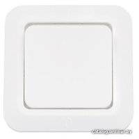 Выключатель Bylectrica C1 4-003