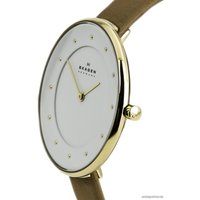 Наручные часы Skagen SKW2137 в Пинске