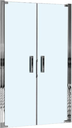 

Душевая дверь WeltWasser WW600 600K2-120