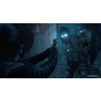  Rise of the Tomb Raider: 20 Year Celebration для PlayStation 4