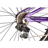 Велосипед Shulz Chloe 24 Race 2023 (фиолетовый)