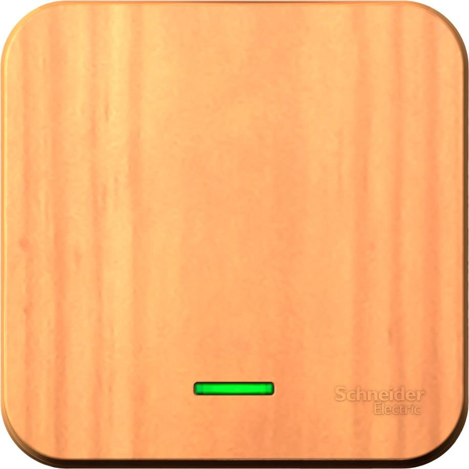 

Розетки, выключатели Schneider Electric Blanca BLNVA101105