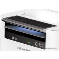 Климатический комплекс Sharp KC-G61RW