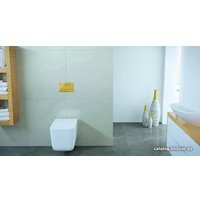 Панель смыва OLI Slim 154962 (золотистый)