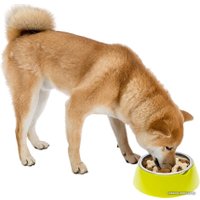 Миска Ferplast Jolie Large (черный)